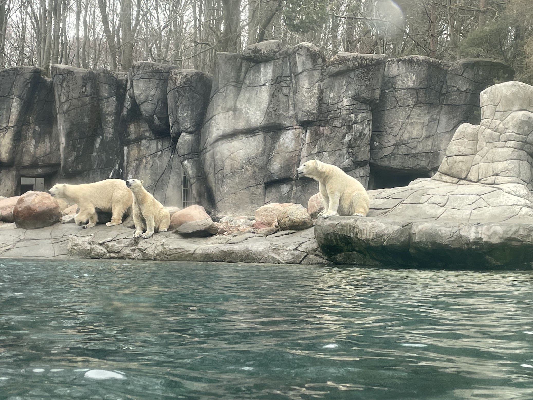 Aalborg Zoo