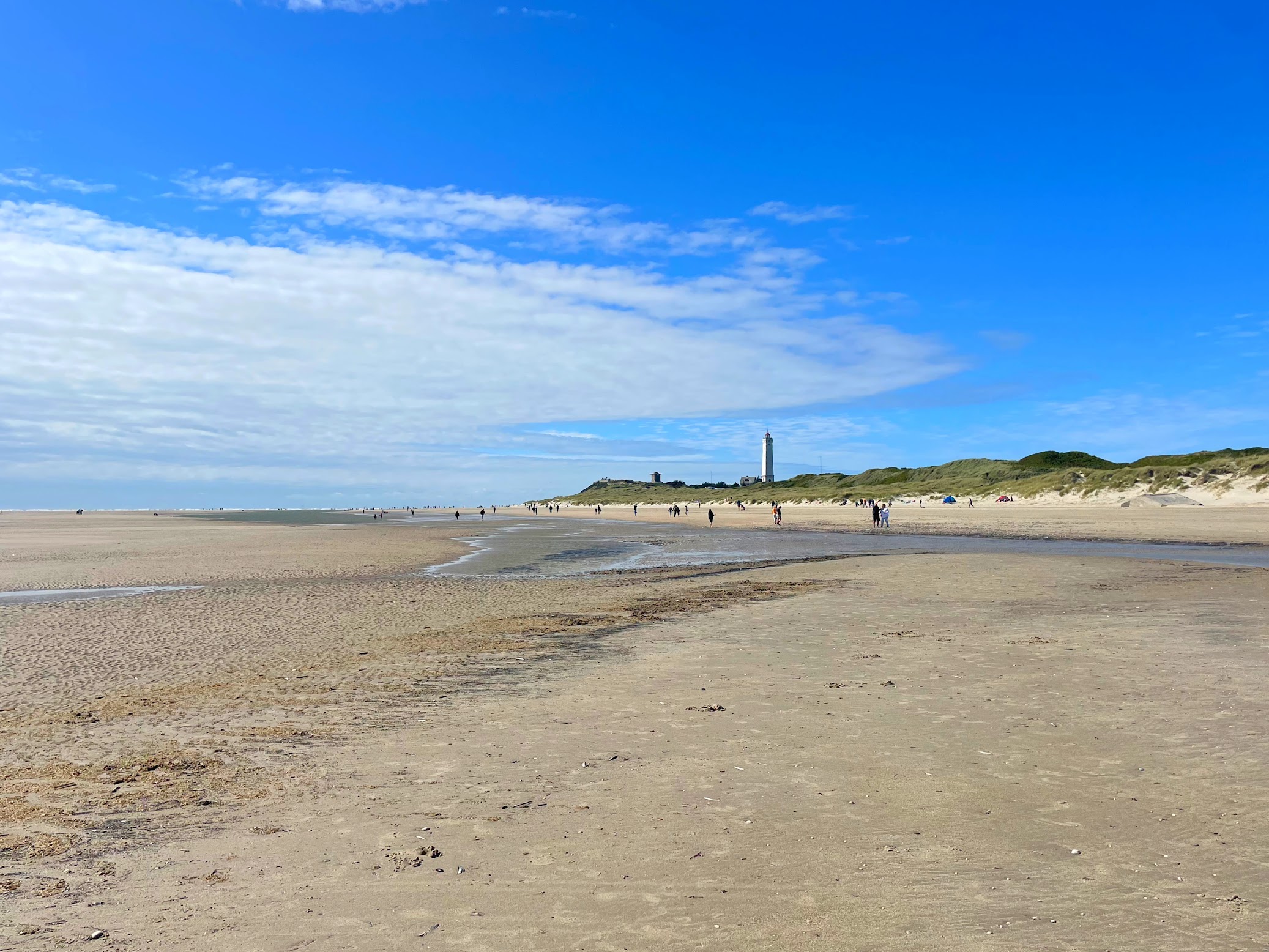 Blåvand Strand
